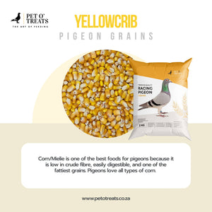 YELLOWCRIB