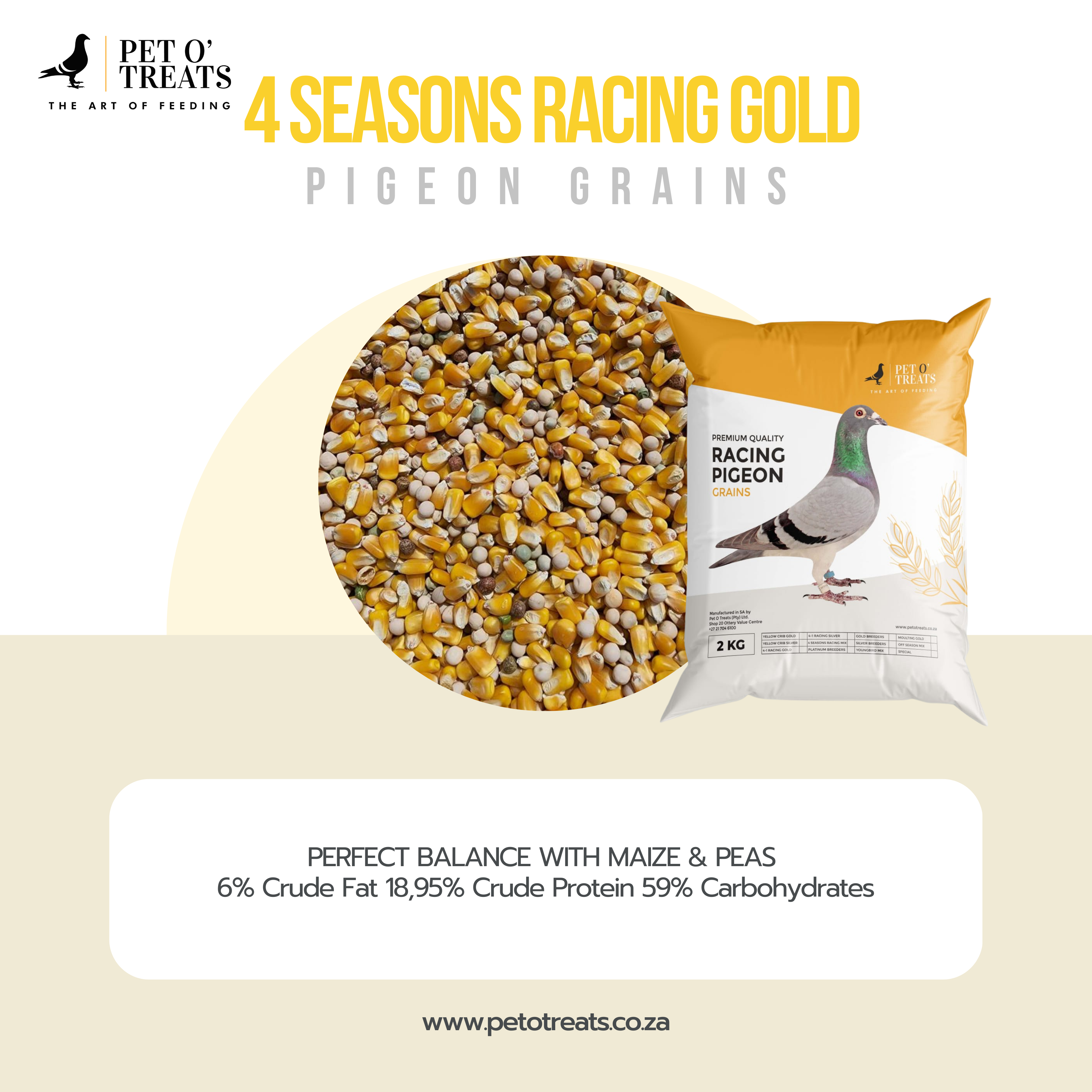 4 SEASONS RACING GOLD