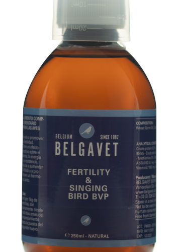 FERTILITY & SINGING BIRD