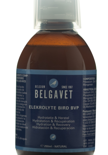 ELEKROLYTE BIRD BVP.