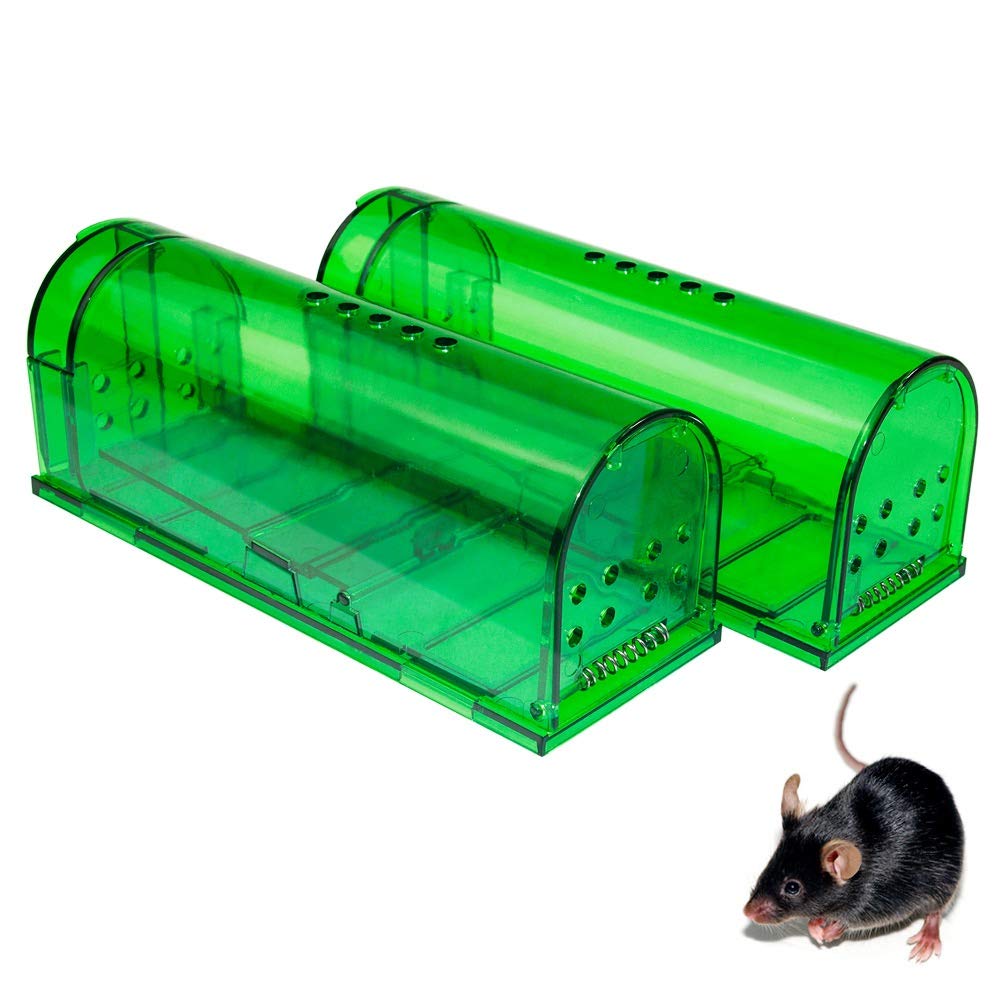 MOUSE TRAP (M) 2PCE