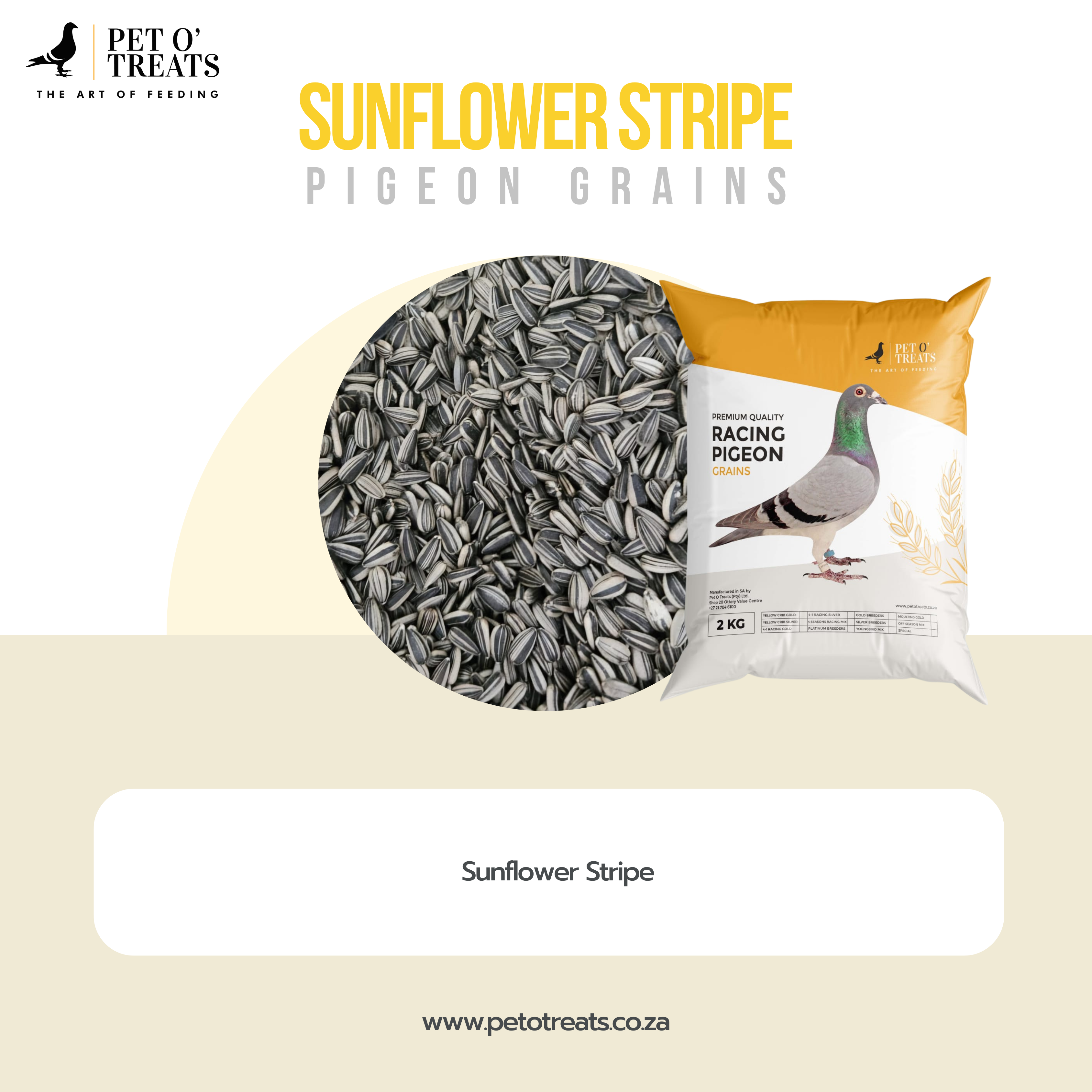 SUNFLOWER STRIPE