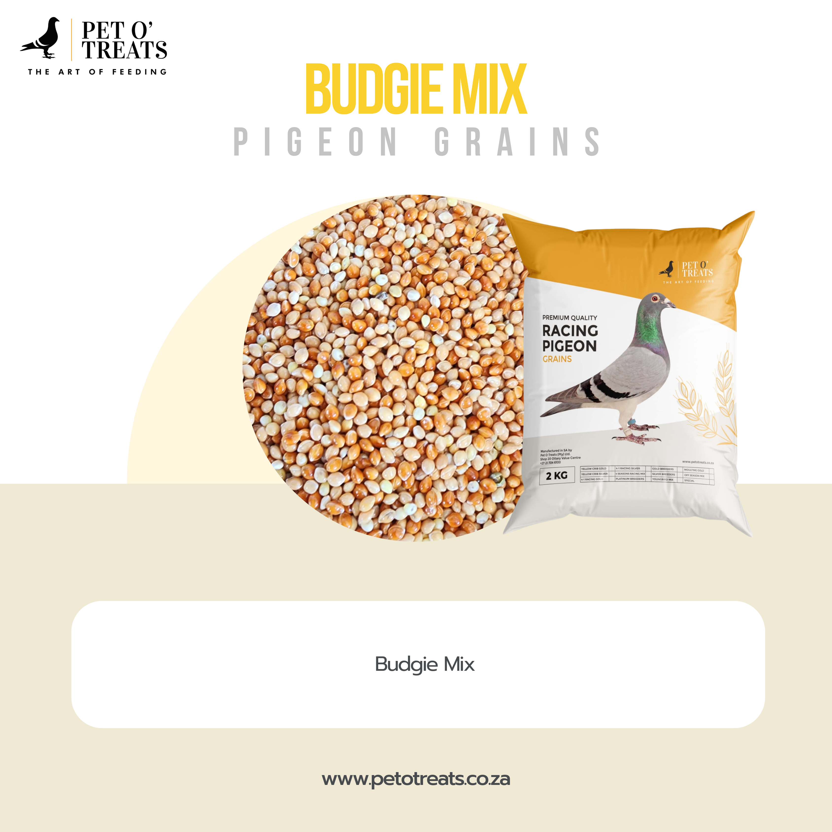 BUDGIE MIX