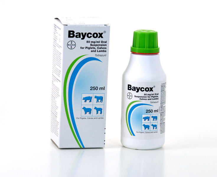 BAYCOX