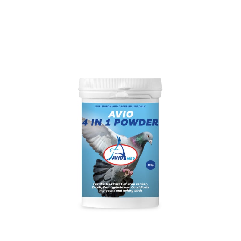 AVIO 4 IN 1 POWDER