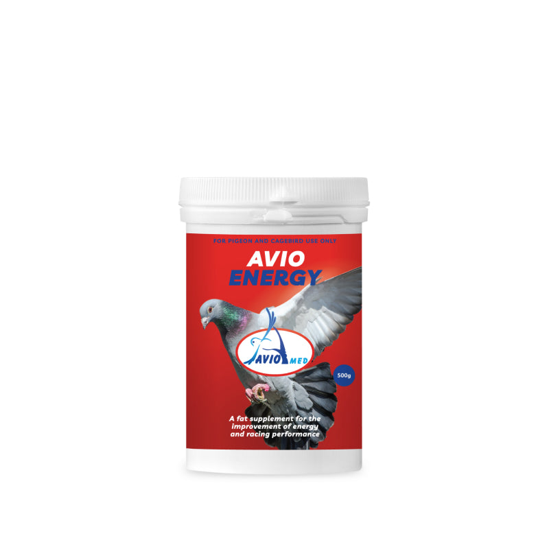 AVIO ENERGY 500G