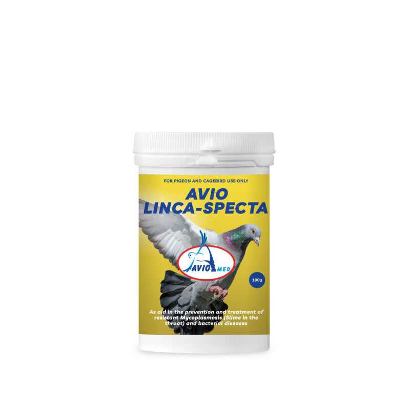 AVIO LINCA-SPECTA 100