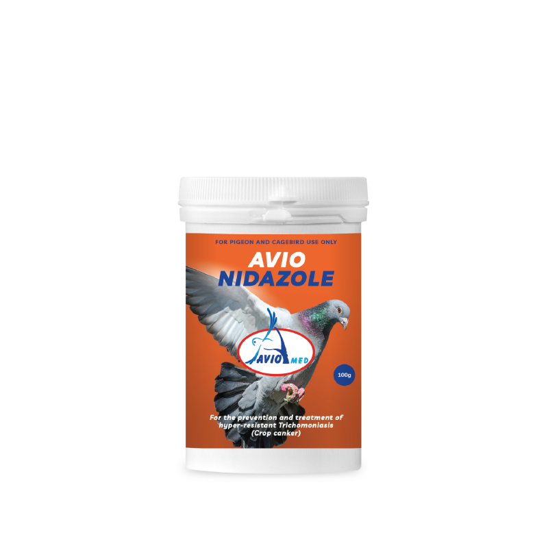 Avio Nidazole Powder
