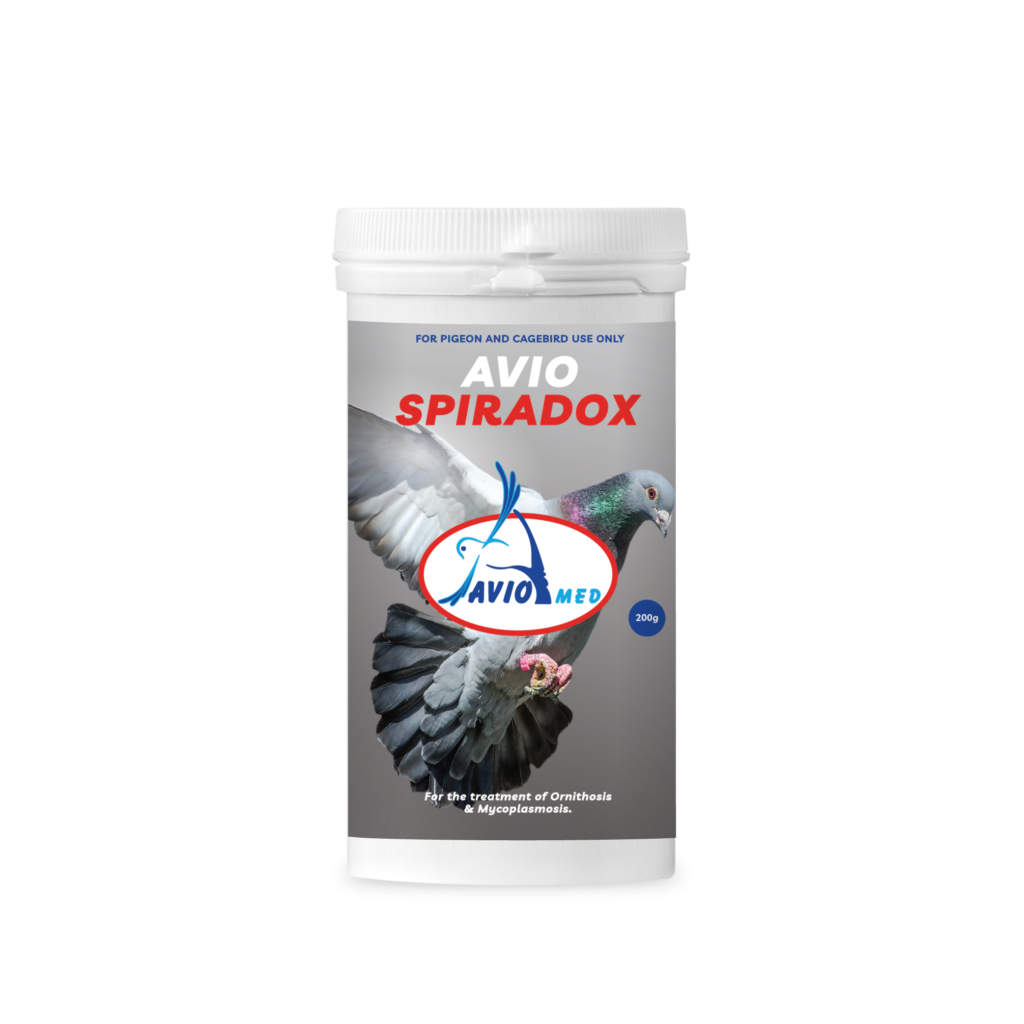 AVIO SPIRADOX – 200g