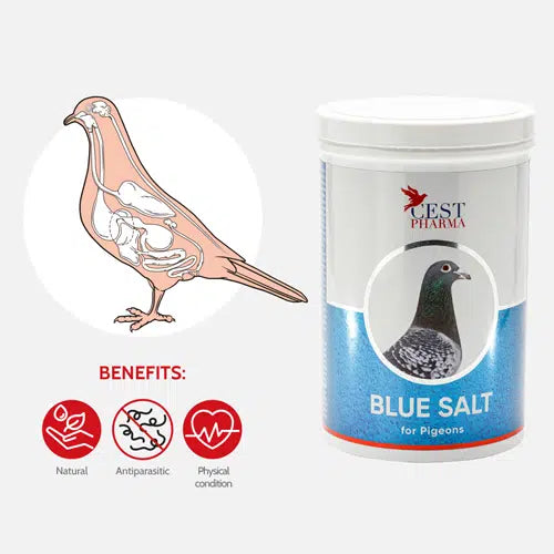 CEST BLUE SALT