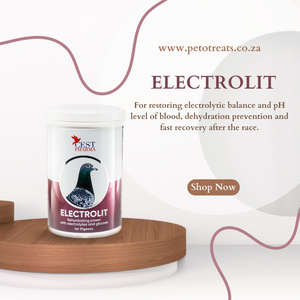 CEST ELECTROLIT