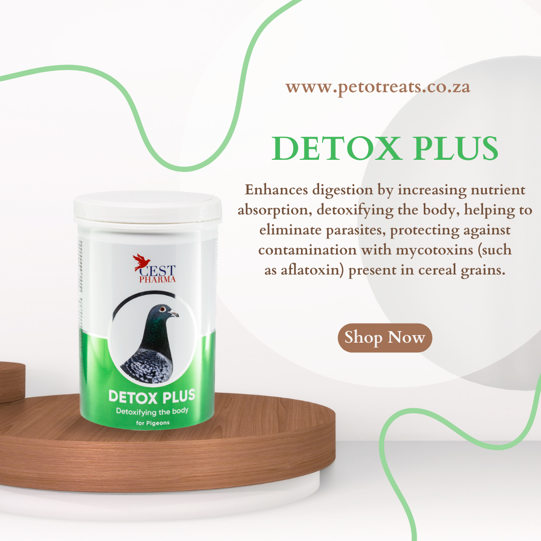 CEST DETOX PLUS