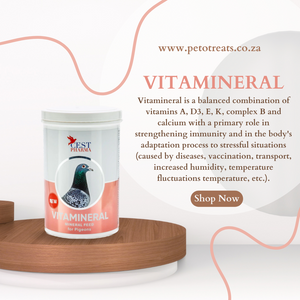 CEST VITAMINERAL