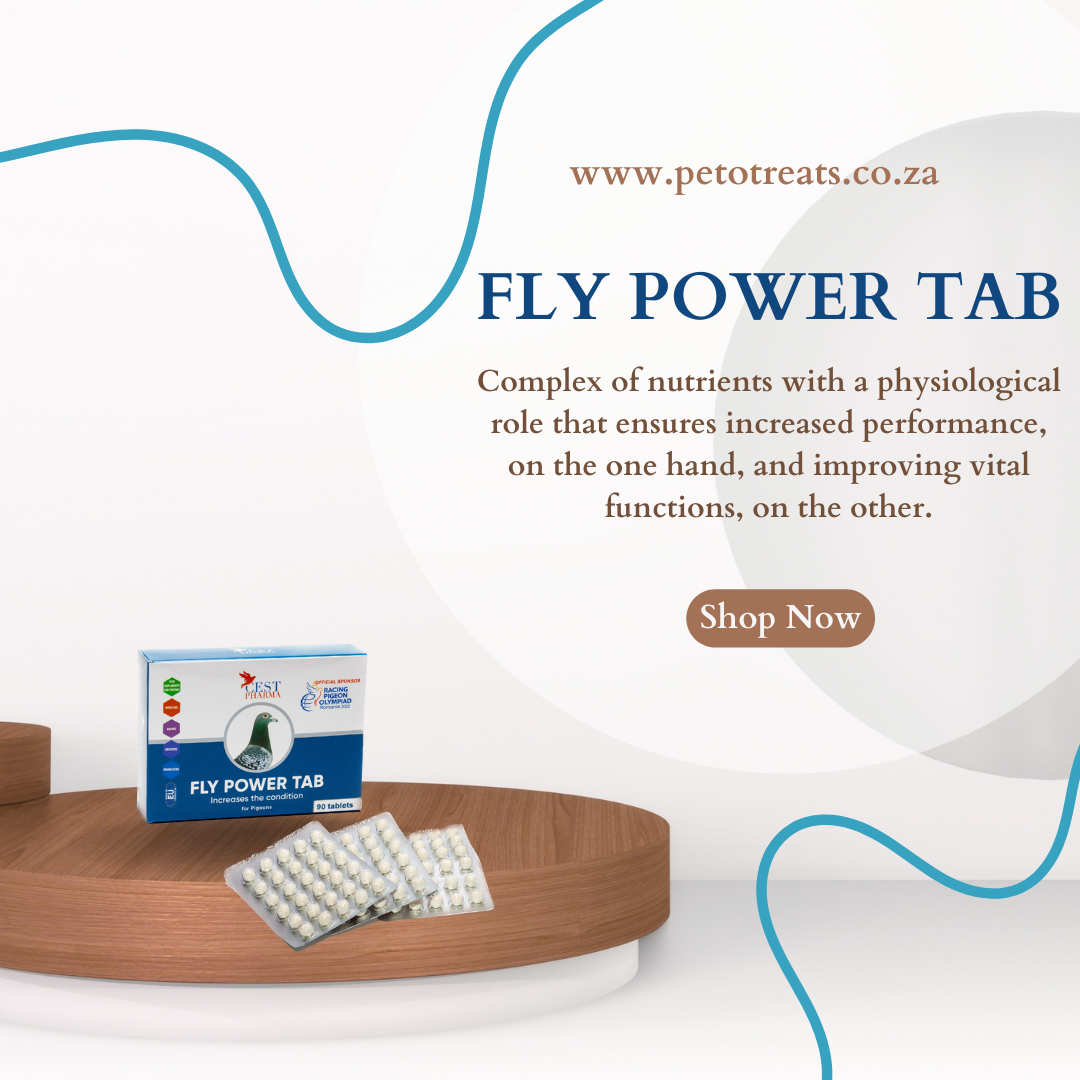 CEST FLY POWER 90TAB