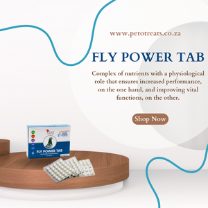 CEST FLY POWER 90TAB