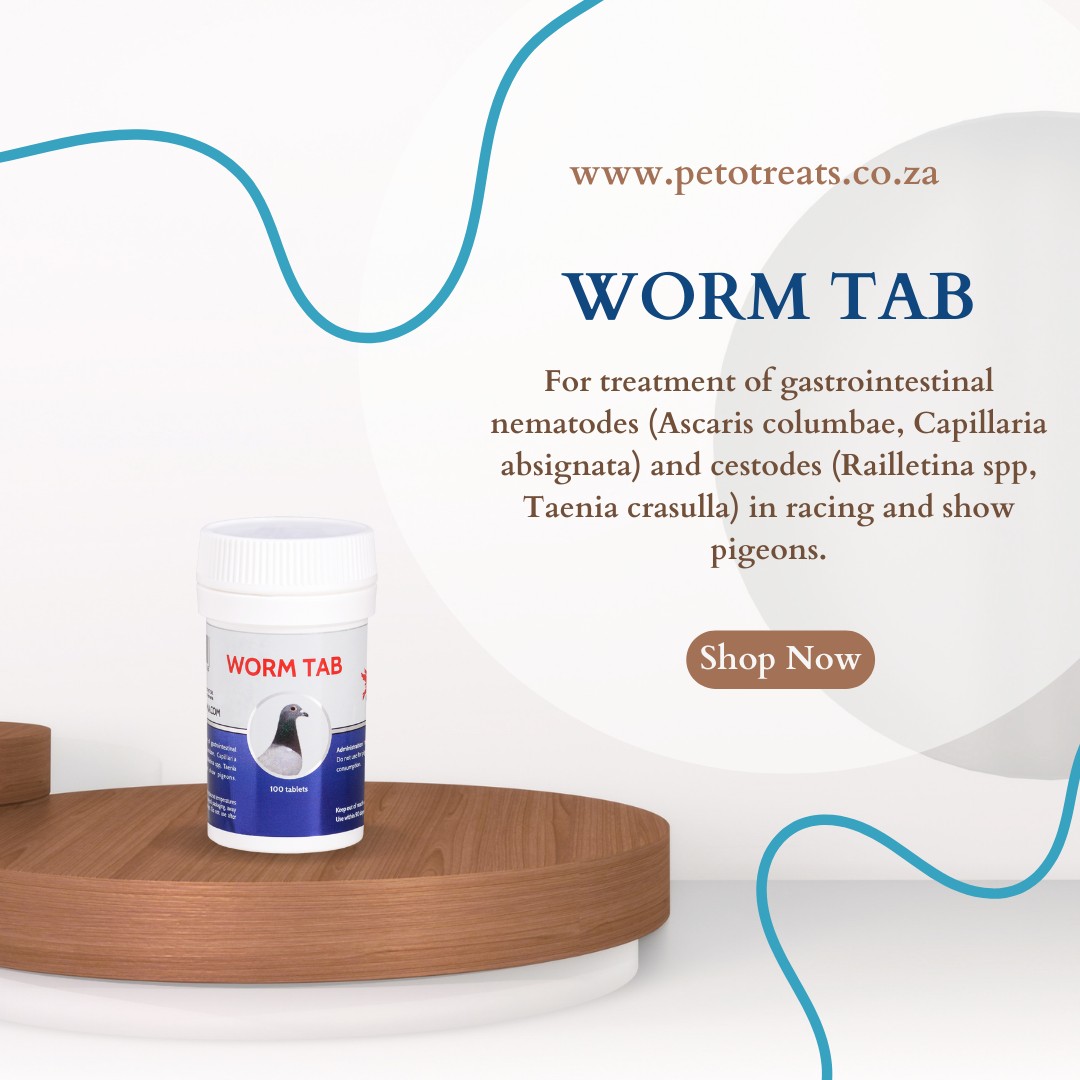 CEST WORM 100TAB