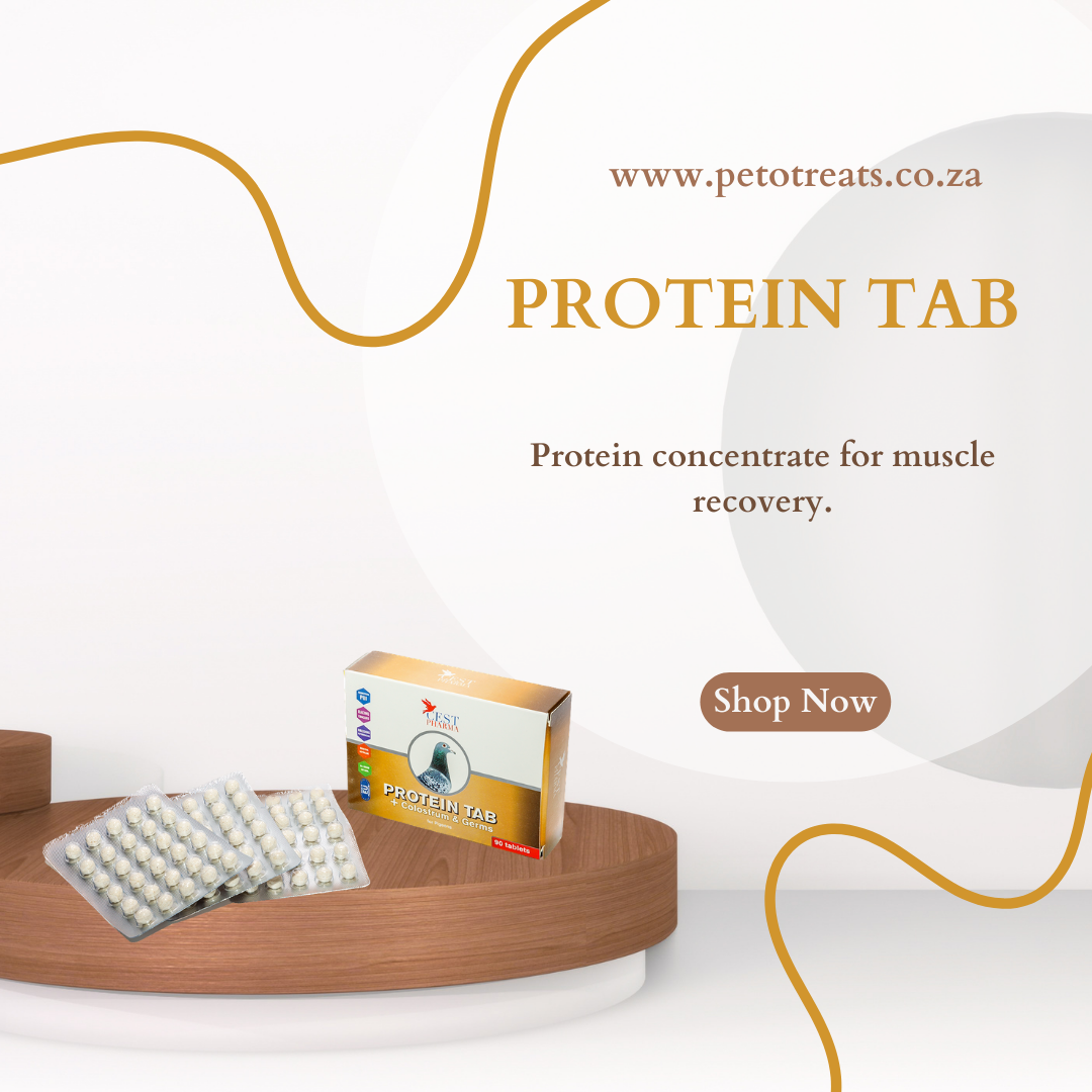 CEST PROTEIN 90TAB