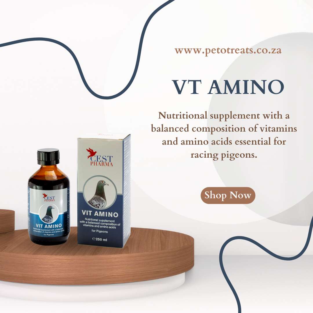 CEST VIT AMINO 250ml