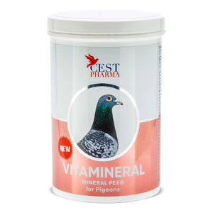 CEST VITAMINERAL