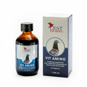 CEST VIT AMINO 250ml
