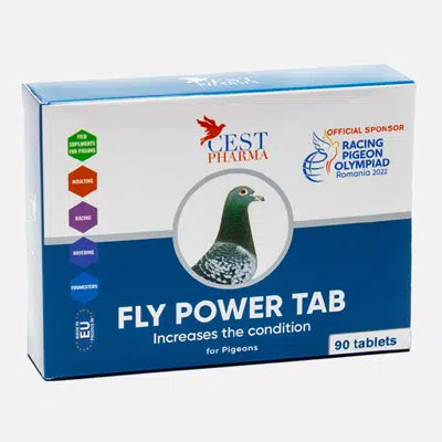 CEST FLY POWER 90TAB