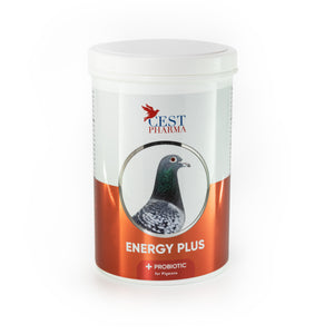 CEST-PHARMA ENERGY PLUS 600G