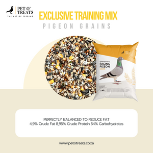 EXCLUSIVE TRAINING MIX