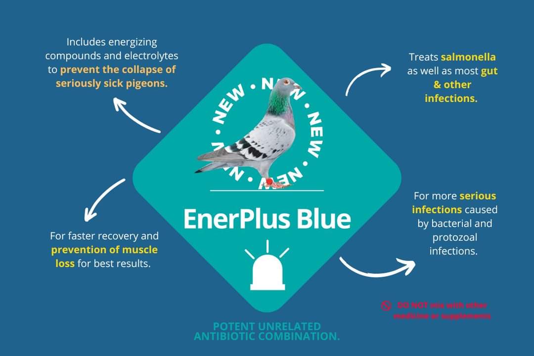 BA ENER PLUS BLUE