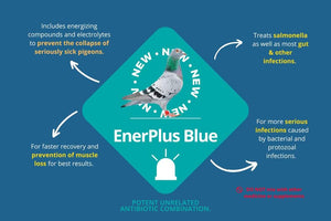BA ENER PLUS BLUE
