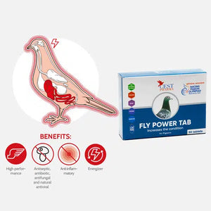 CEST FLY POWER 90TAB