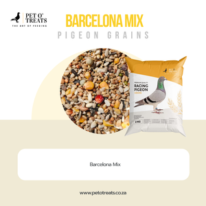 BARCELONA MIX