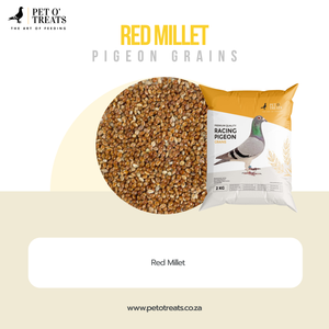 RED MILLET