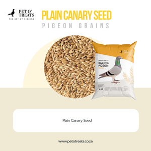 PLAIN CANARY SEED