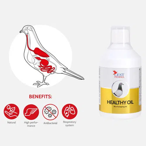 CEST HEALTHY OIL