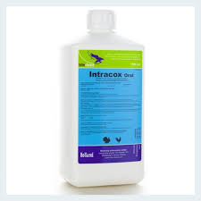 INTRACOX 1000ML