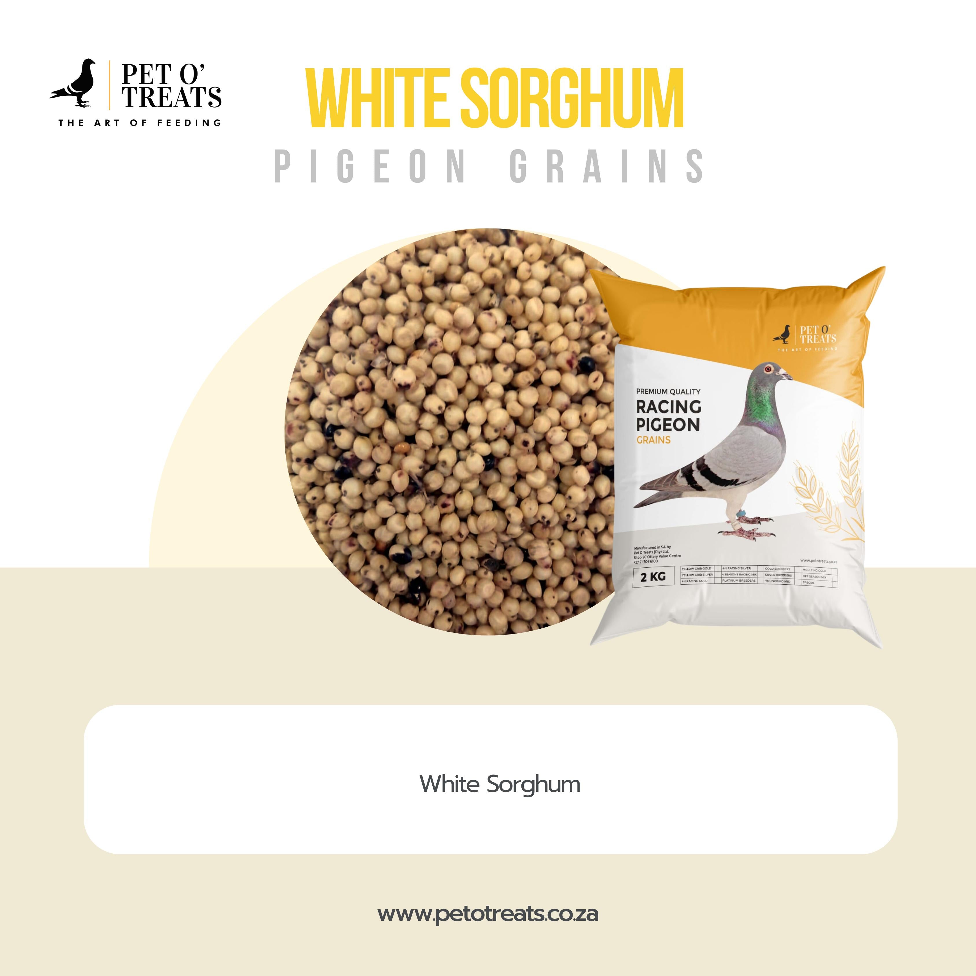 WHITE SORGHUM