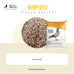 HEMP SEED