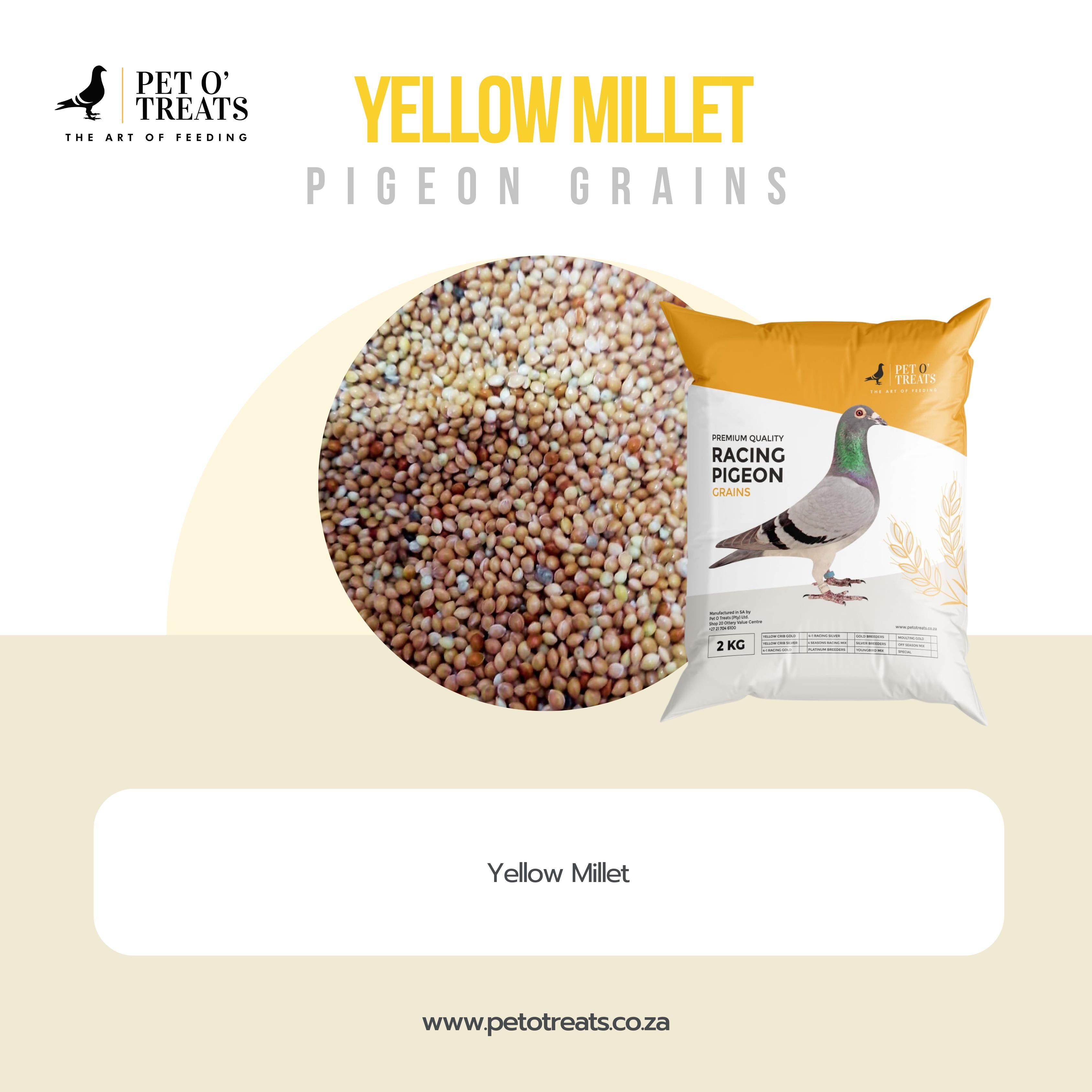 YELLOW MILLET