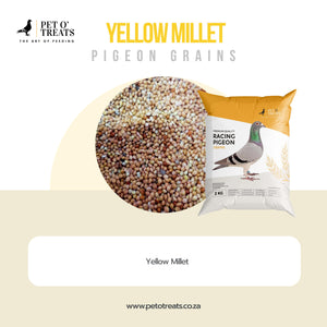 YELLOW MILLET