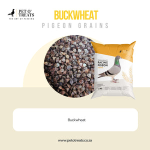 BUCKWHEAT