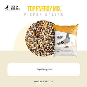TOP ENERGY MIX