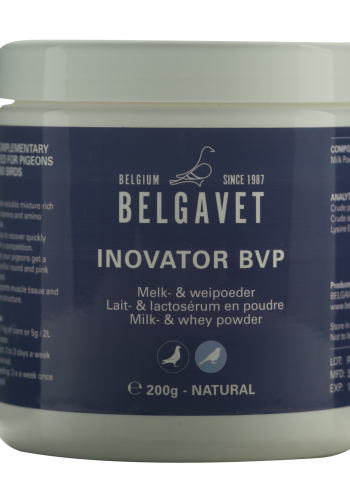 INNOVATOR BVP
