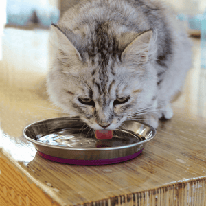 ROGZ ANCHOVY CAT BOWL