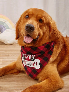 IT’S MY BIRTHDAY RED-CHECK BANDANA