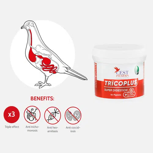 CEST TRICOPLUS 100g