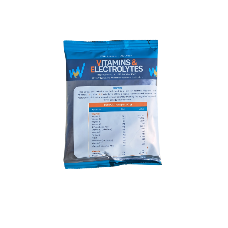 VITAMIN & ELECTROLYTES 100G