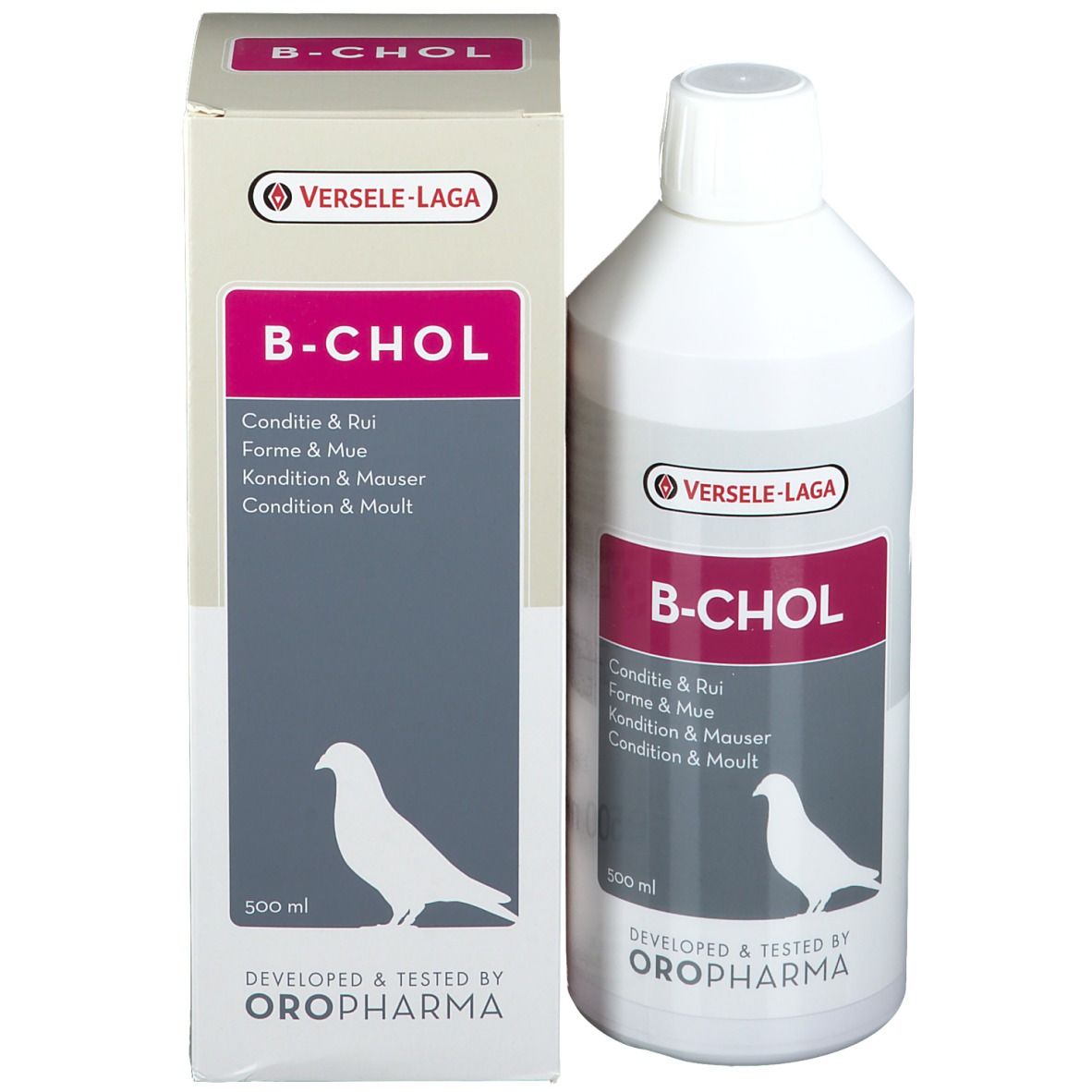 B-CHOL