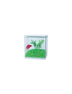 BOYU MINI BETTA CUBE