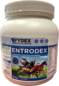 ENTRODEX 650g