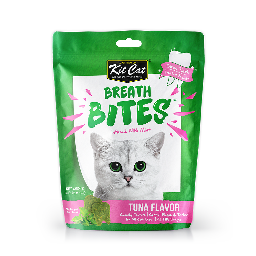 KIT KAT BREATH CAT